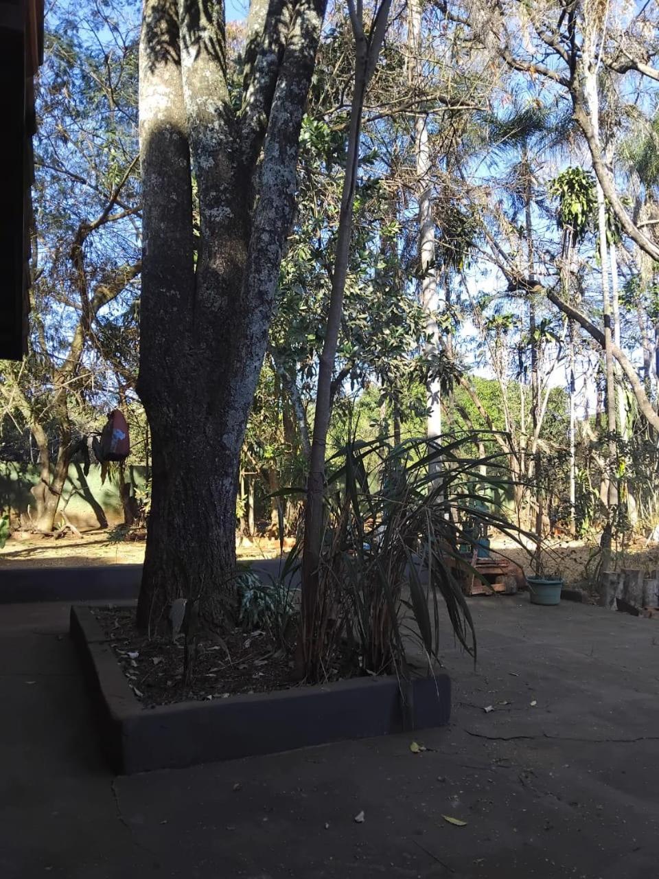 Sitio Bemtevi - Jockey Camping - Uberlandia Villa Exteriör bild