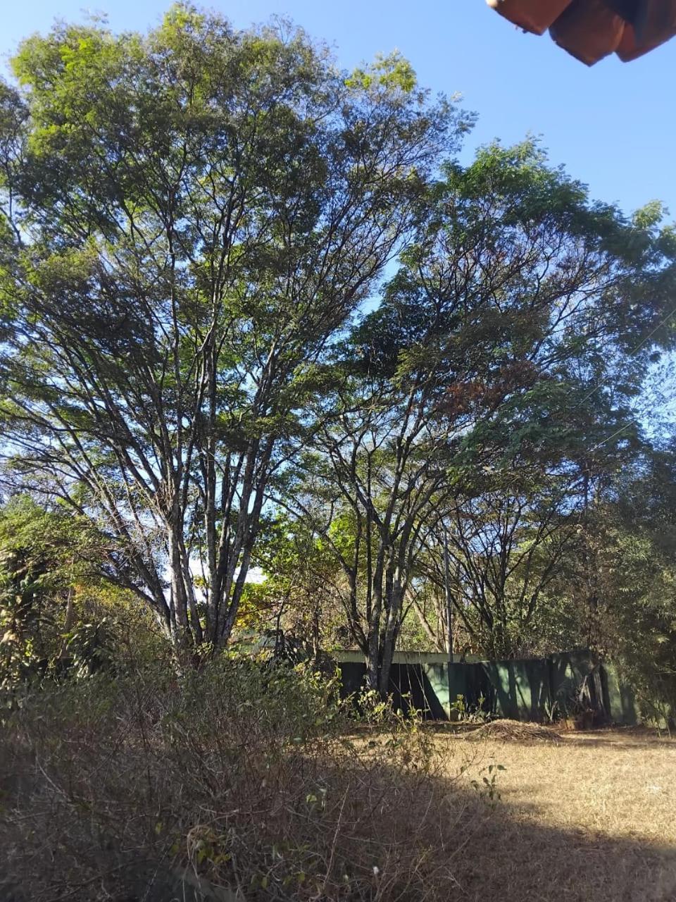 Sitio Bemtevi - Jockey Camping - Uberlandia Villa Exteriör bild